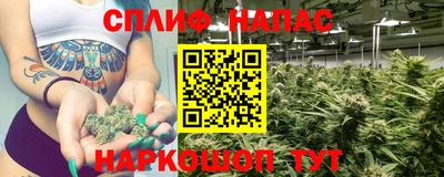 гашик Балахна