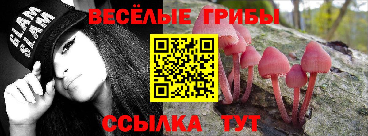Псилоцибиновые грибы мицелий  Вход с VPN  Балахна 